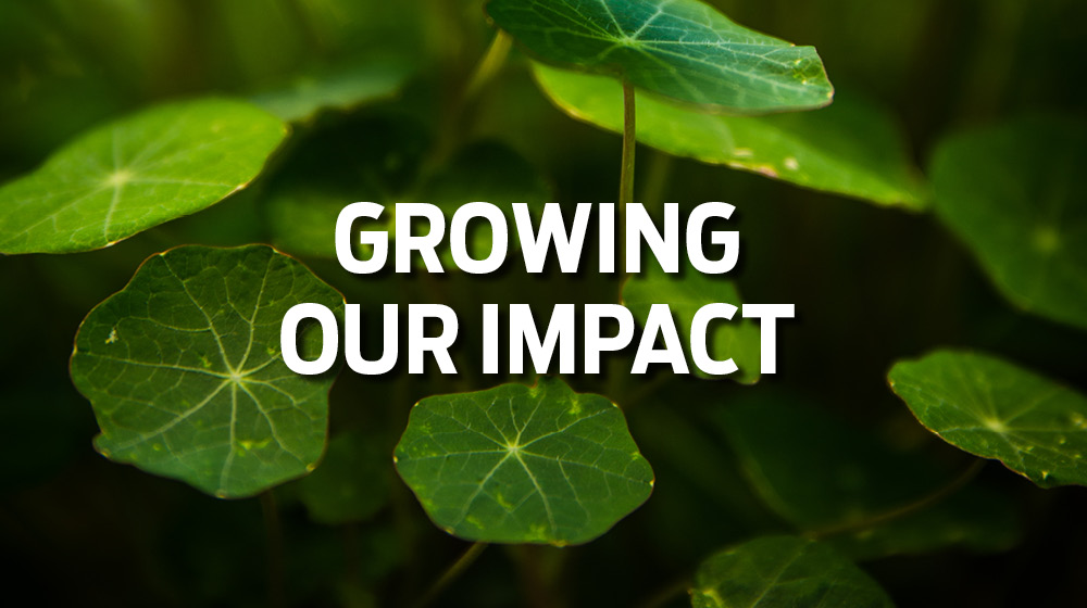graphic: Growing our Impact